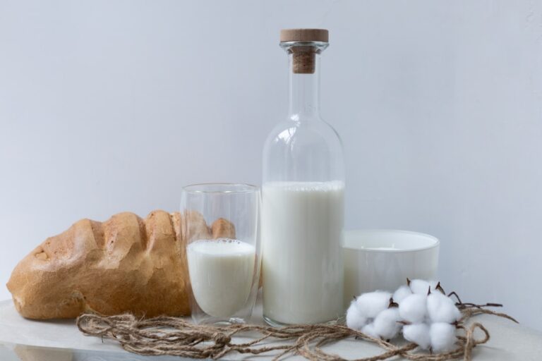 Photo fermented dairy products