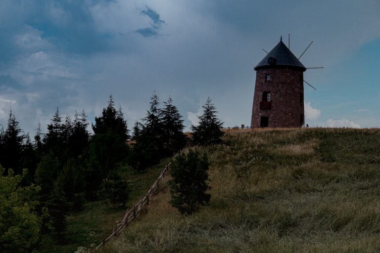 Photo mąka gryczana