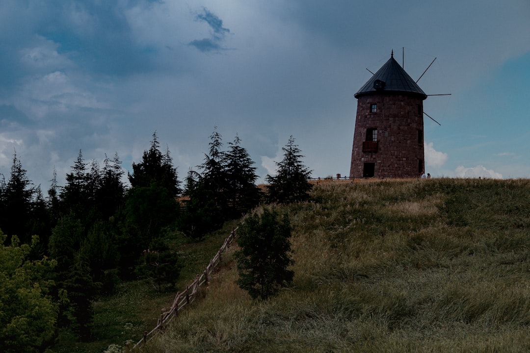 Photo mąka gryczana