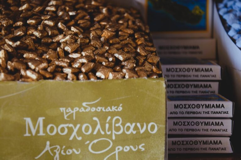 Photo Greek vegan cuisine
